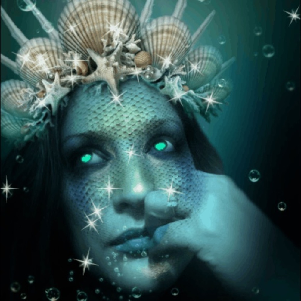 Meet your Posher, Iris n